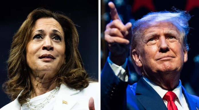 Harris contra Trump: ¿Qué proponen sobre inmigración y política fronteriza?
