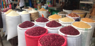 Agricultores esperan que las lluvias y falta de financiamiento no afecten la cosecha de maíz y frijol