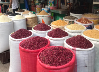 Agricultores esperan que las lluvias y falta de financiamiento no afecten la cosecha de maíz y frijol