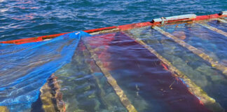 20 migrantes desaparecidos cuando navegaban hacia España en una barca