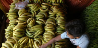 El comercio exterior de Honduras registra déficit de 5.434,2 millones de dólares a agosto