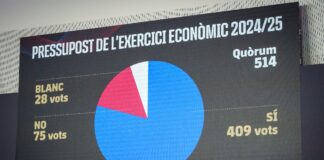 Aprobado el presupuesto de la temporada 2024-25 con 5 millones de beneficios previstos