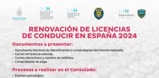 Mañana comienzan brigadas móviles para canje de licencias de conducir en Madrid, Barcelona y Valencia