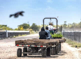 Andrés Lira, hijo de migrantes, retrata en cine la labor campesina en la frontera de EEUU