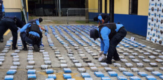Diversas incautaciones de coca ascienden a 734 kilos el fin de semana