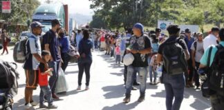 ACNUR afirma que el 61 % de migrantes irregulares llega a México por violencia en su país