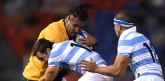 Las actuaciones destacadas del deporte argentino en la Copa América, los Olímpicos y el rugby