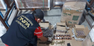 Crece decomiso de armas y municiones en aduana de Puerto Cortés