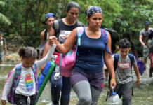 El paso de migrantes por la selva del Darién se redujo un 99 % en 2025, con 3.091 cruces