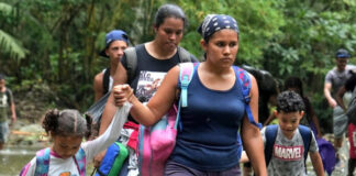 La selva del Darién en 2024: bajan los migrantes y Trump es el nuevo desafío