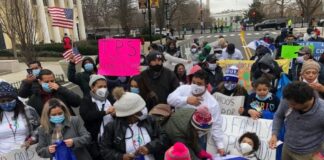 Ganaderos olanchanos en zozobra ante alarmante aumento en casos de gusano barrenador