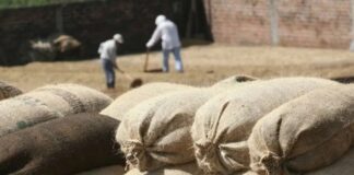 Exportaciones de café ya superan los $1,450 millones en divisas, confirma Ihcafé