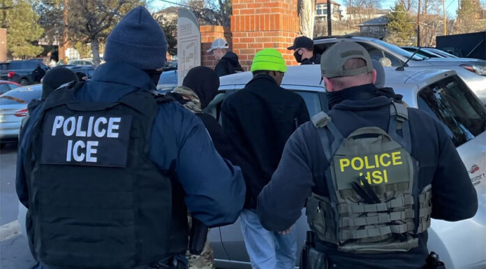 La Patrulla Estatal de Georgia participa en redadas migratorias en EEUU