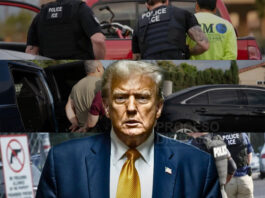 ¿Realmente pudo Trump sacar a más de 2.5 millones de extranjeros de EEUU en 2025?