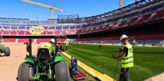 El césped ya asoma en el Spotify Camp Nou