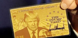 El departamento de Elon Musk gestiona las «visas doradas» para inmigrantes millonarios