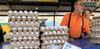 Precio del cartón de huevo hilvana un mes sin variaciones