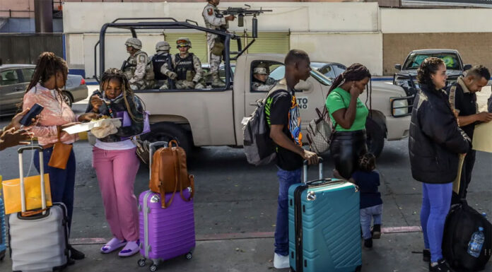 El departamento de Elon Musk accederá a información sensible de inmigrantes en EEUU