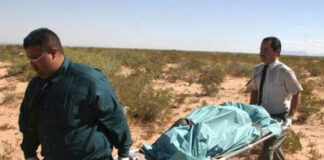 OIM registra 522 migrantes hondureños muertos cuando huían de crisis humanitarias