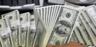 En vigencia cambios en la asignación de dólares anunciada por el BCH