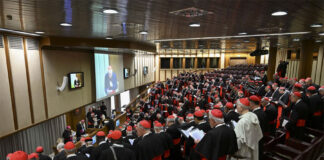 Los cardenales que elegirán al nuevo papa
