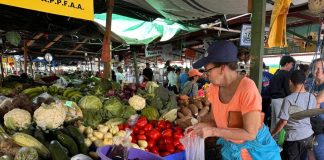 Lluvias encarecen verduras y legumbres mientras ciudadanos se quejan del alto costo de la vida