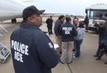 Nueva York debate permitir demandas de migrantes detenidos por colaboración ilegal con ICE
