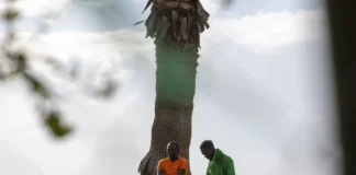 Los humanos prosperaron en diversos entornos antes de su gran expansión hace 50.000 años