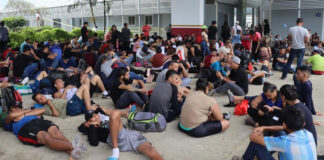 Acnur estima que México recibe unas 250 nuevas solicitudes de asilo y refugio cada día; con Honduras a la cabeza