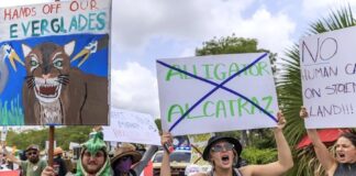 Legisladores denuncian que hay 750 migrantes en jaulas en el ‘Alligator Alcatraz’