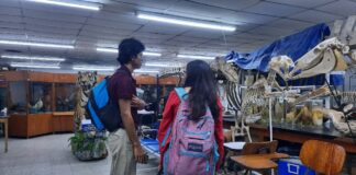 Los museos iberoamericanos buscan cómo proteger el patrimonio ante emergencias climáticas