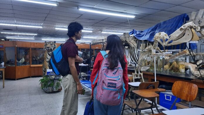 Museo-de-Historia-Natural-UNAH-01