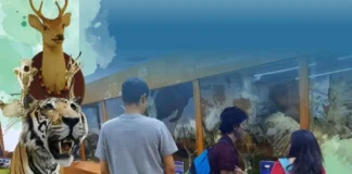 Museo Historia Natural, el pasado tomando vida en el presente de la UNAH