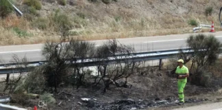 La Guardia Civil apunta al exceso de velocidad del coche que conducía Diogo Jota