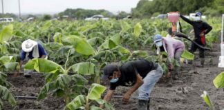 Desastroso manejo de la macroeconomía golpea al pueblo hondureño: Roberto Lagos