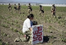 Redada migratoria en granja de cannabis en California supone la mayor con 361 detenidos