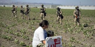 Redada migratoria en granja de cannabis en California supone la mayor con 361 detenidos