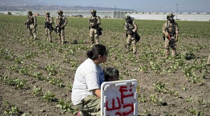 Redada migratoria en granja de cannabis en California supone la mayor con 361 detenidos