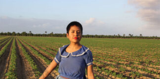 Arresto de beneficiaria de DACA enciende alertas sobre alcance de deportaciones de Trump