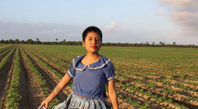 Arresto de beneficiaria de DACA enciende alertas sobre alcance de deportaciones de Trump