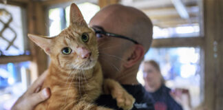 Mascotas abandonadas por migrantes deportados agravan crisis de refugios animales en EEUU