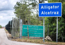 Trump veta ley sobre tierras de los Miccosukee en medio de disputa por Alligator Alcatraz