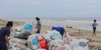 Jóvenes recolectaron 1,623 libras de basura en Playa Buena Vista en Cuyamel