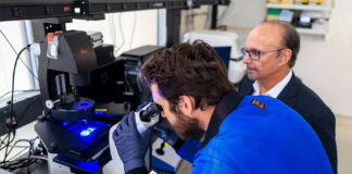 Científicos latinos en EEUU hallan biomarcador que podría detectar temprano el Alzheimer