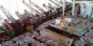 Denuncian esclavitud laboral en la pesca de calamar del Atlántico sur importado por España
