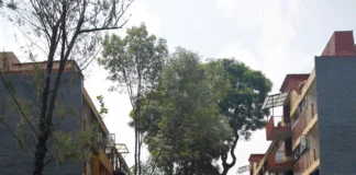 Tras ocho años del sismo de 2017 damnificados en Ciudad de México aún enfrentan riesgos