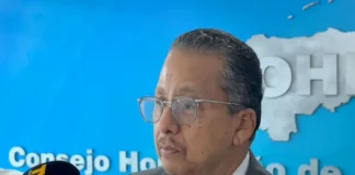 Tepesianos representan $300 millones en remesas al año, según el Cohep