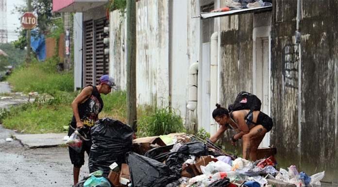 Senadora propone medir pobreza en migrantes y desplazados en zonas de tránsito en México