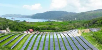 Millonaria inversión de la ENEE en Patuca III quedará subutilizada, según datos técnicos