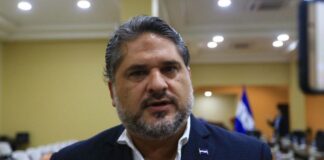 Exportadores hondureños de café celebran prórroga de la UE a ley contra la deforestación